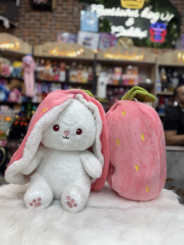 نونوس 🐻 جميع الاحجام