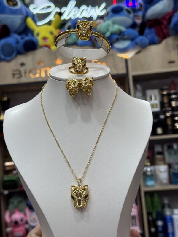 Parire Aci inoxydable ✅