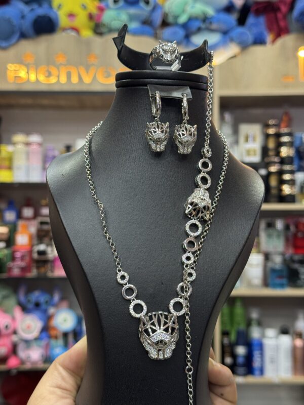 Parire Aci inoxydable ✅