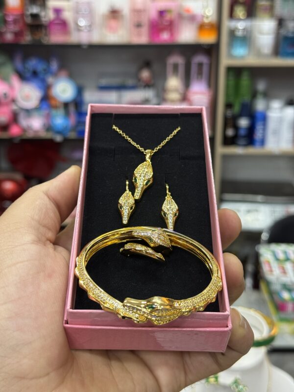 Parire Aci inoxydable ✅