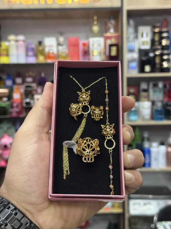 Parire Aci inoxydable ✅