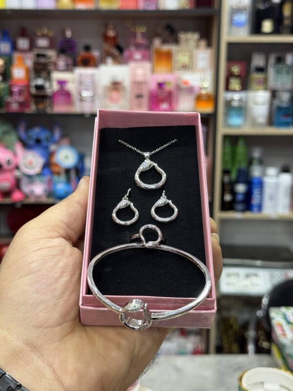 Parire Aci inoxydable ✅