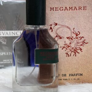 img_7848 روائح رجالية بجودة عالمية ✅