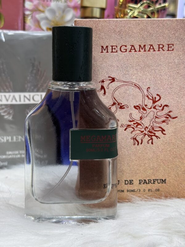 روائح رجالية بجودة عالمية ✅