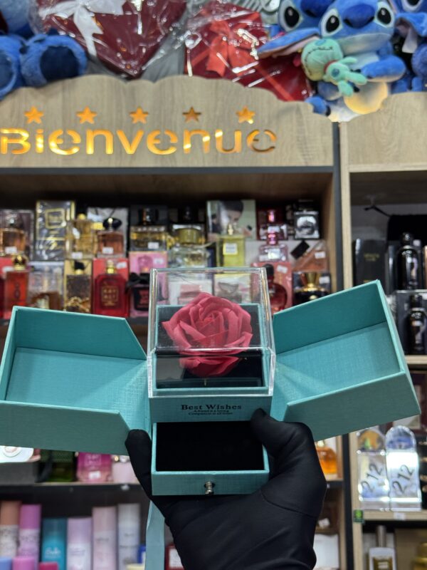 بورت بيجو 😍