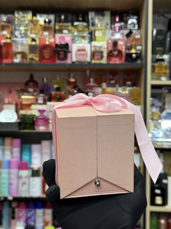 بورت بيجو 😍